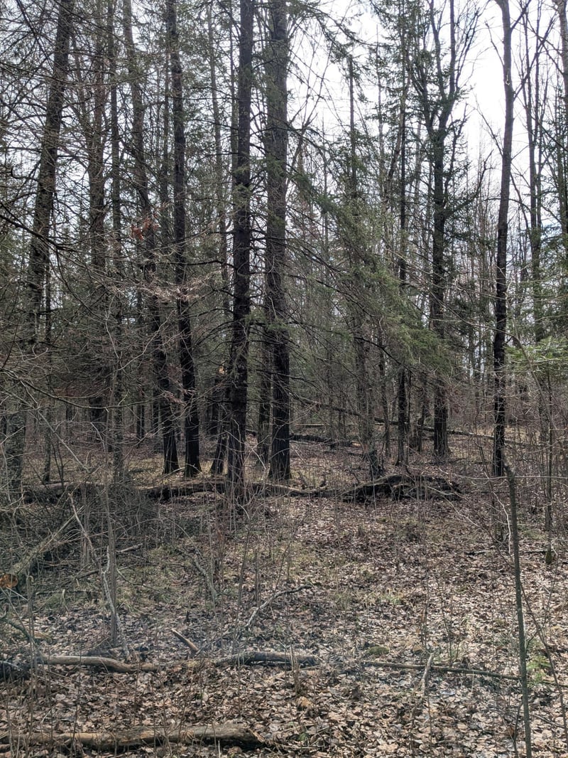 1102 W County Line Rd, Tamarack, MN 55787