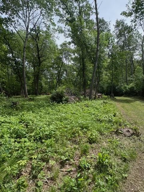 21404 Fair Oaks Dr, Nevis, MN 56467