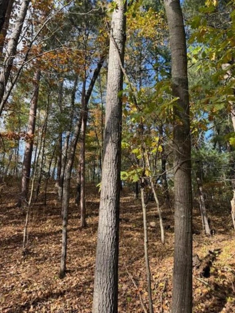 1380 Little John Rd, Nisswa, MN 56468
