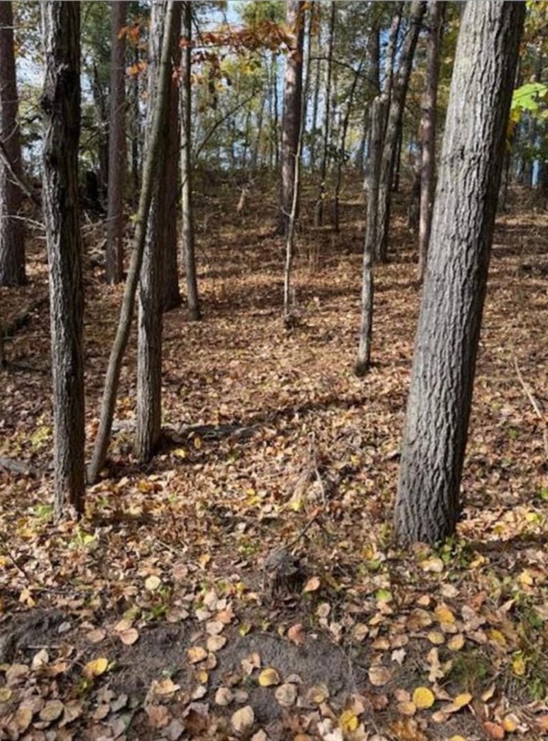 1380 Little John Rd, Nisswa, MN 56468