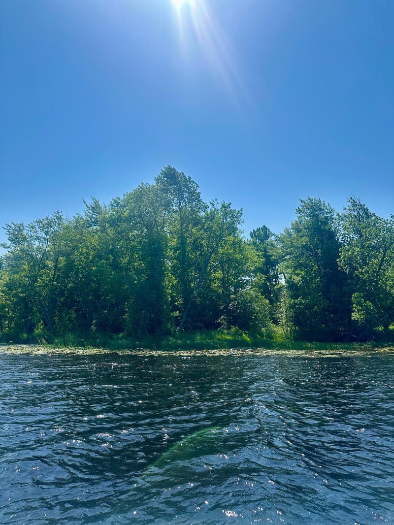 Lot 11 Opah's Dr, Aitkin, MN 56431