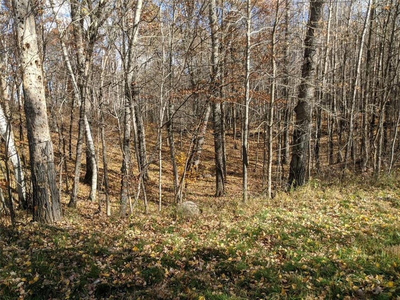 L10 B17 Green Scene Dr, Breezy Point, MN 56472