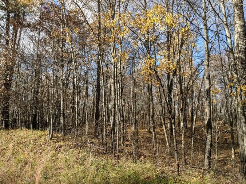 L10 B17 Green Scene Dr, Breezy Point, MN 56472