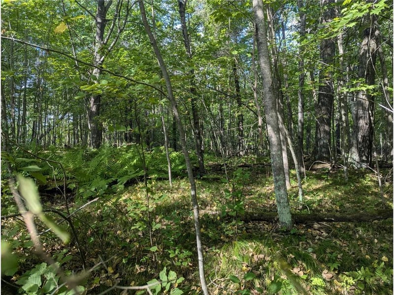 L23 B32 Shady Trl, Breezy Point, MN 56472
