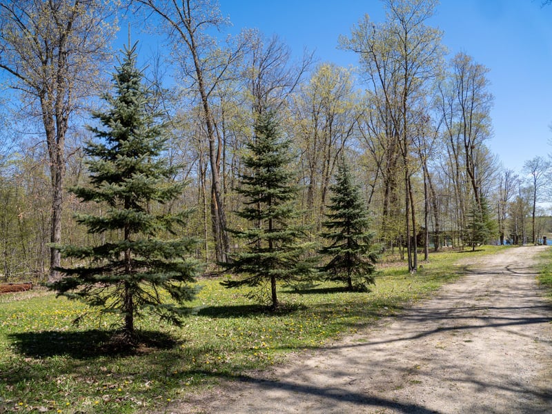 7160 Turtle Lake Dr NW, Walker, MN 56484