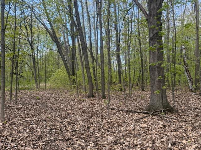TBD 1st St, Taylors Falls, MN 55084