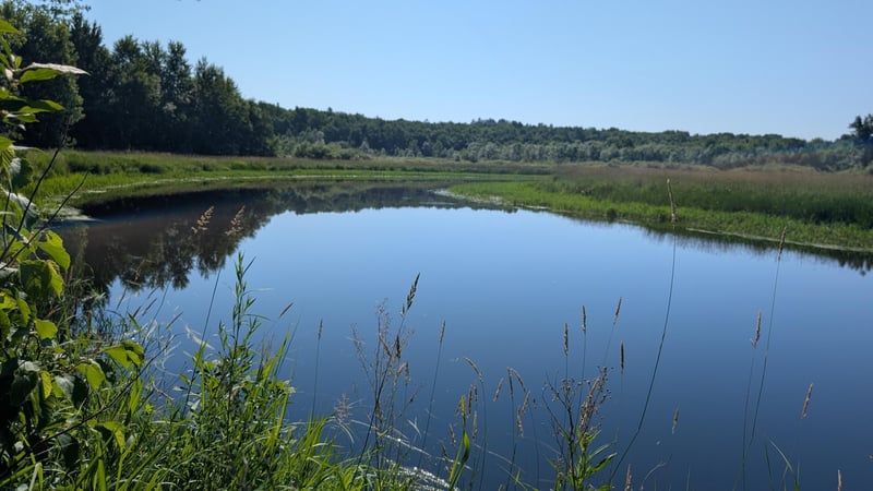 TBD Cemetery Rd, Orr, MN 55771