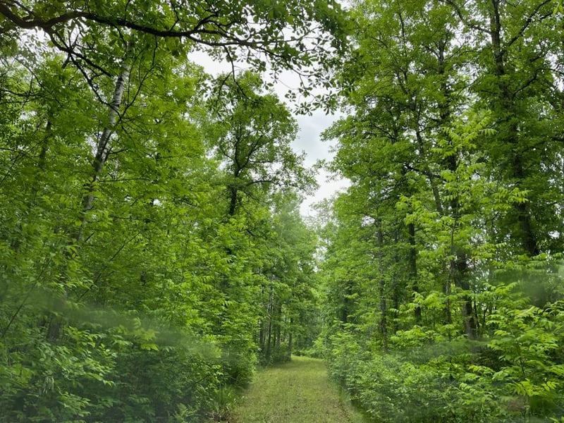 TBD Cemetery Rd, Orr, MN 55771
