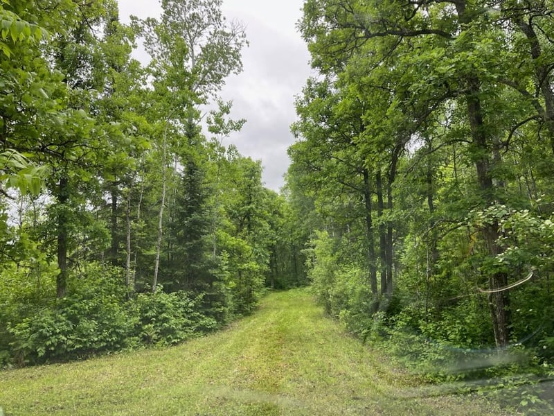 TBD Cemetery Rd, Orr, MN 55771