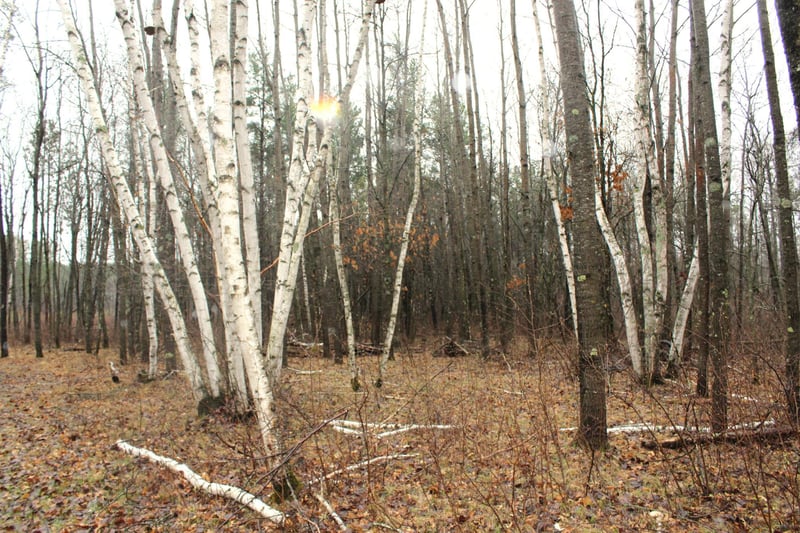 TBD 470th St, Staples, MN 56479
