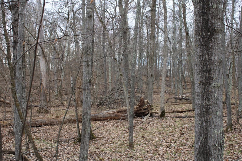 TBD St Moritz Blvd, Breezy Point, MN 56472
