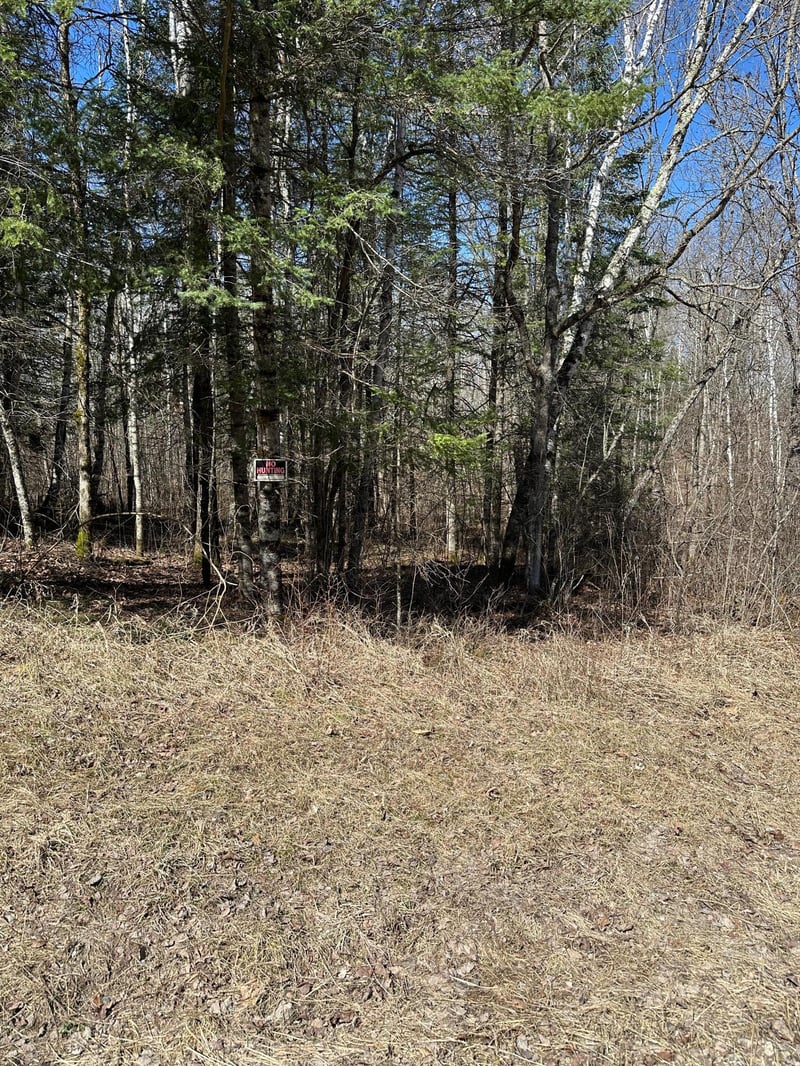 TBD Ct 307, Blackduck, MN 56630