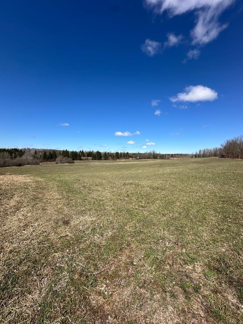 TBD Ct Rd 307, Blackduck, MN 56630
