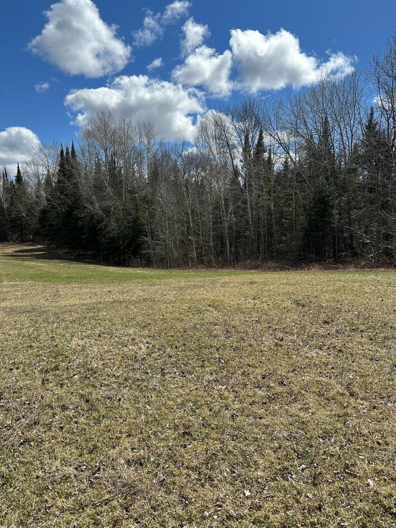 TBD 307, Blackduck, MN 56630