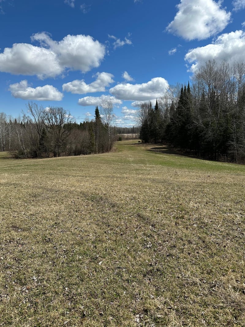 TBD 307, Blackduck, MN 56630