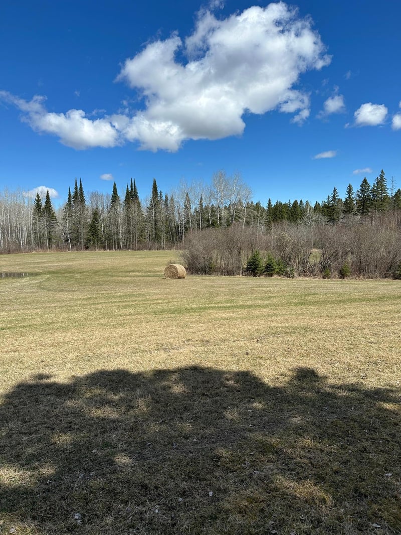 TBD 307, Blackduck, MN 56630