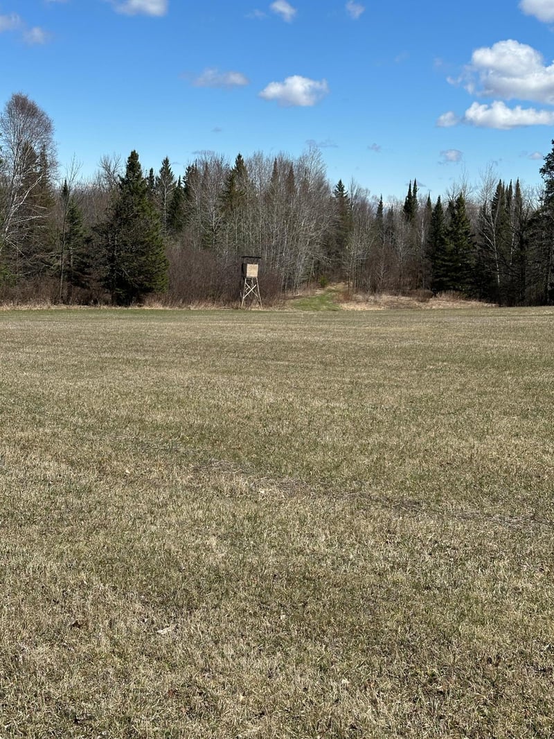 TBD 307, Blackduck, MN 56630