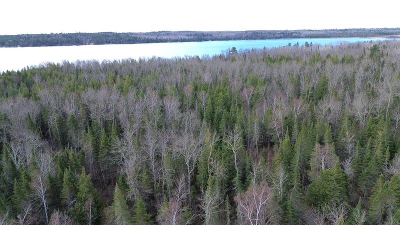 32635 Quail Ln, Laporte, MN 56461