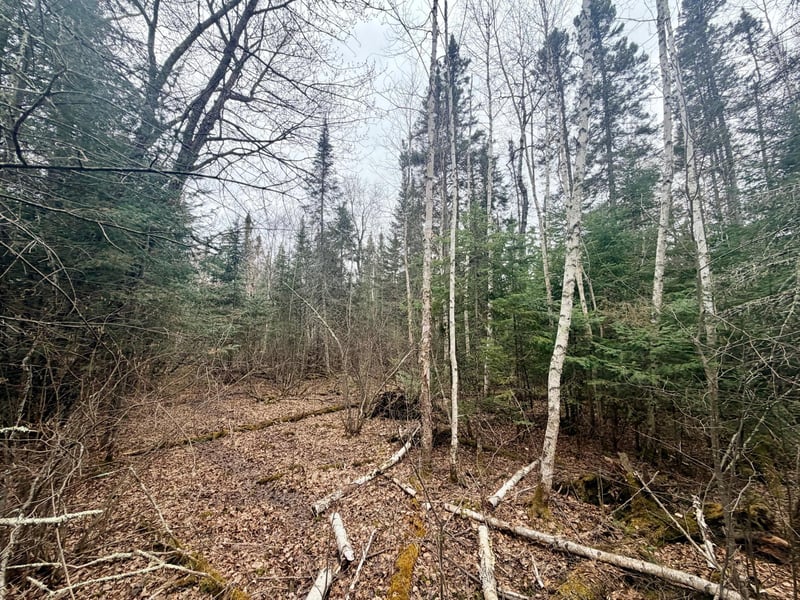 TBD Hwy 65, Nashwauk, MN 55769