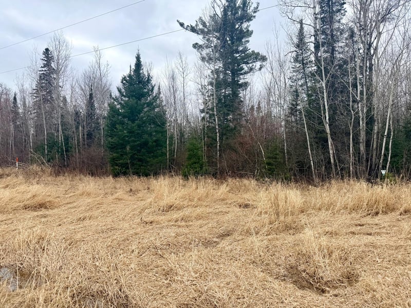 TBD Hwy 65, Nashwauk, MN 55769