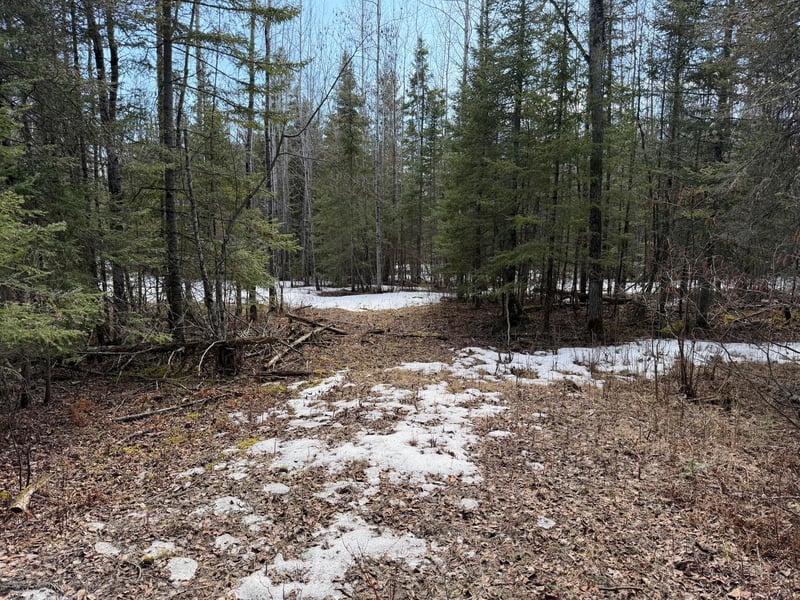 96xx Gappa Rd, Kabetogama, MN 56669