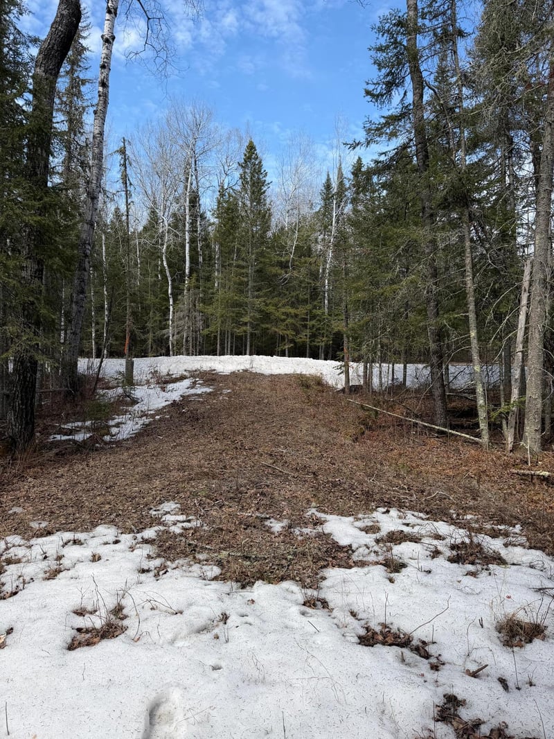96xx Gappa Rd, Kabetogama, MN 56669