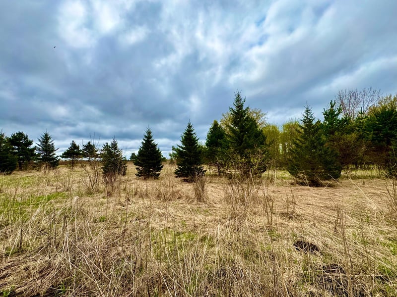 10809 Grand Lake Rd, Cold Spring, MN 56320