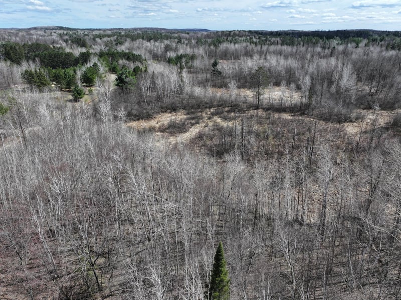 TBD Bass Lake Rd, Osage, MN 56570