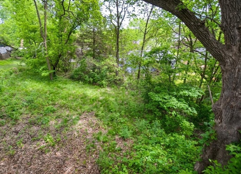 320 Bluff St, Clearwater, MN 55320