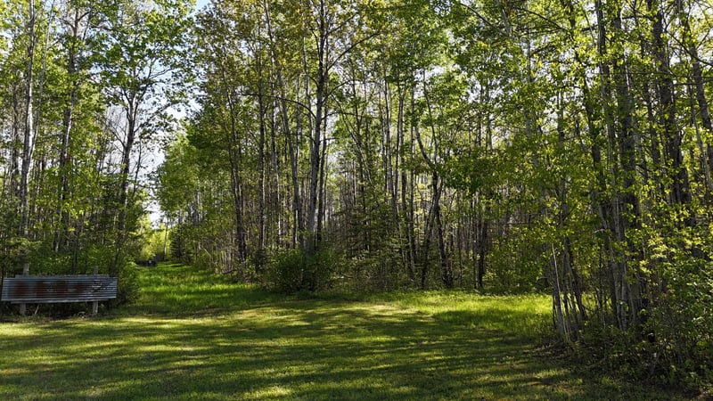 TBD Town Road 118, Birchdale, MN 56629