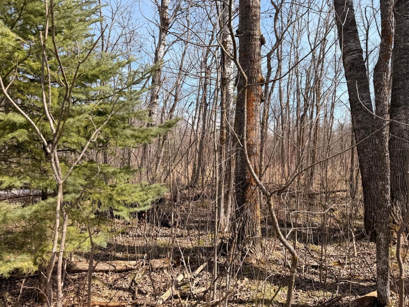0, Steenerson Twp, MN 56727