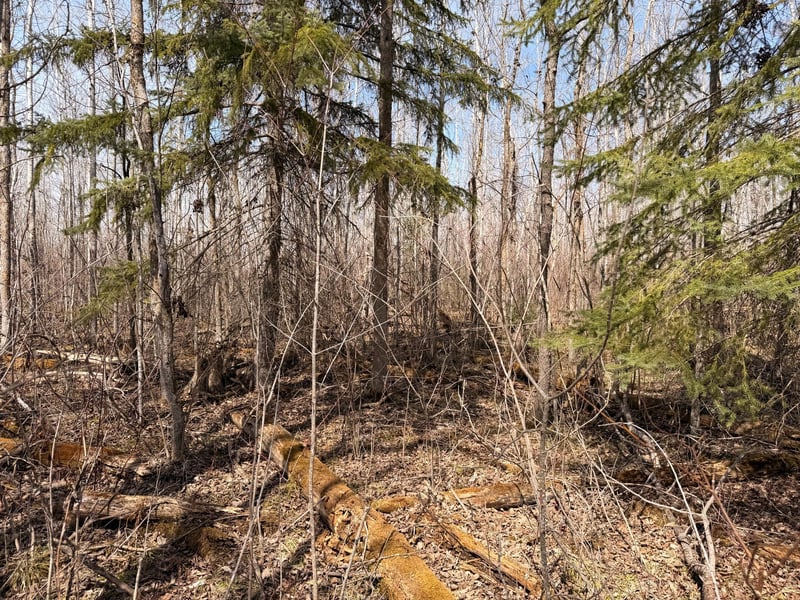 0, Steenerson Twp, MN 56727
