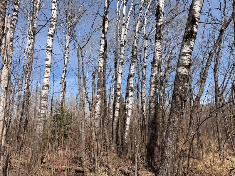 0, Steenerson Twp, MN 56727