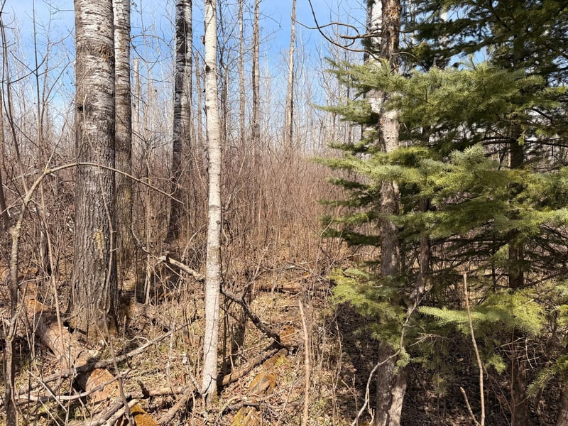 0, Steenerson Twp, MN 56727