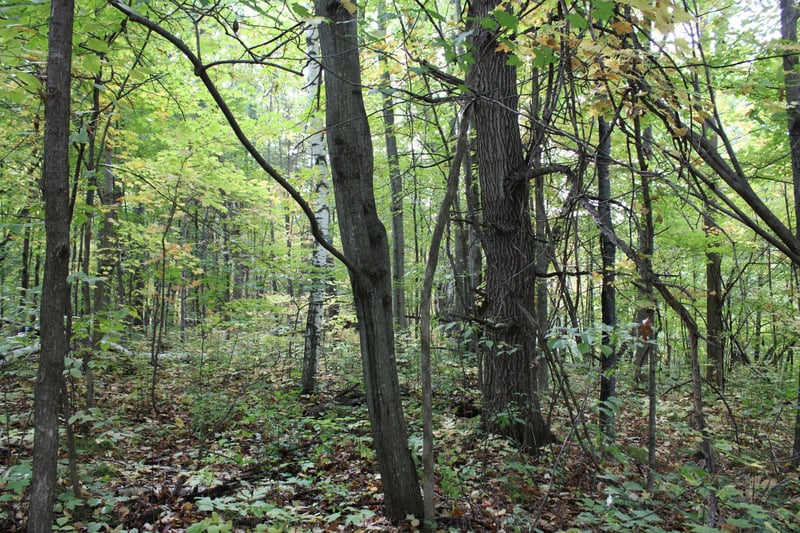000 St Croix Trl, Taylors Falls, MN 55084