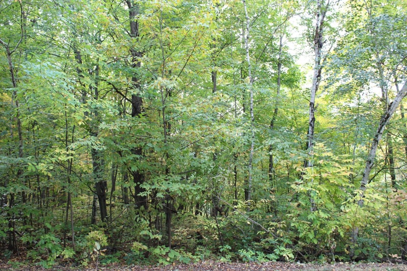 000 St Croix Trl, Taylors Falls, MN 55084