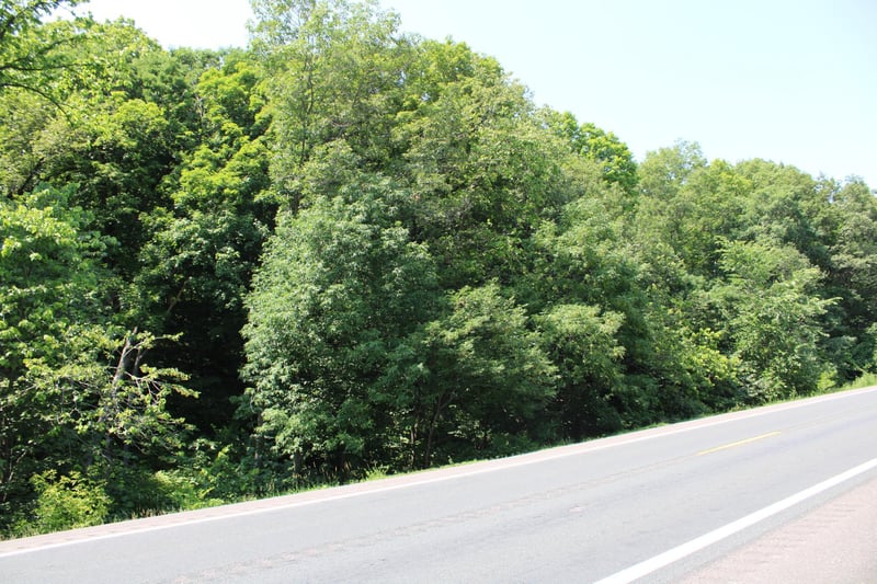 000 St Croix Trl, Taylors Falls, MN 55084