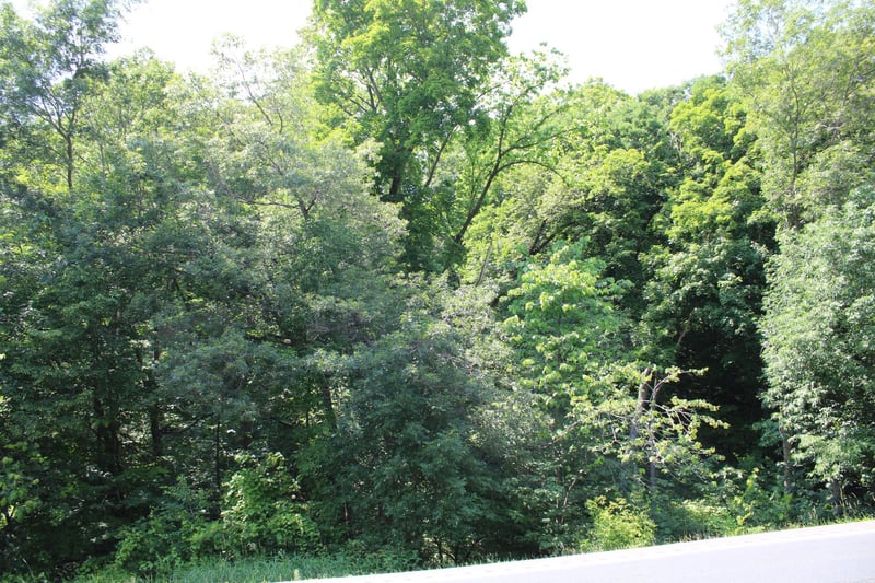 000 St Croix Trl, Taylors Falls, MN 55084