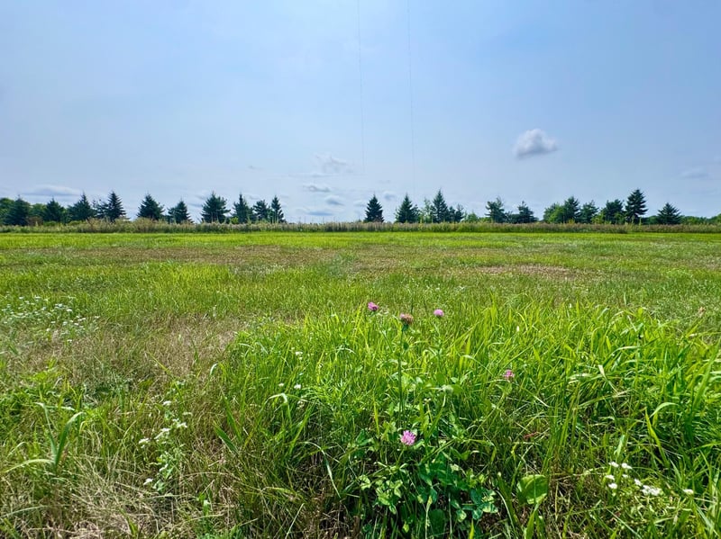 10933 Grand Lake Rd, Cold Spring, MN 56320