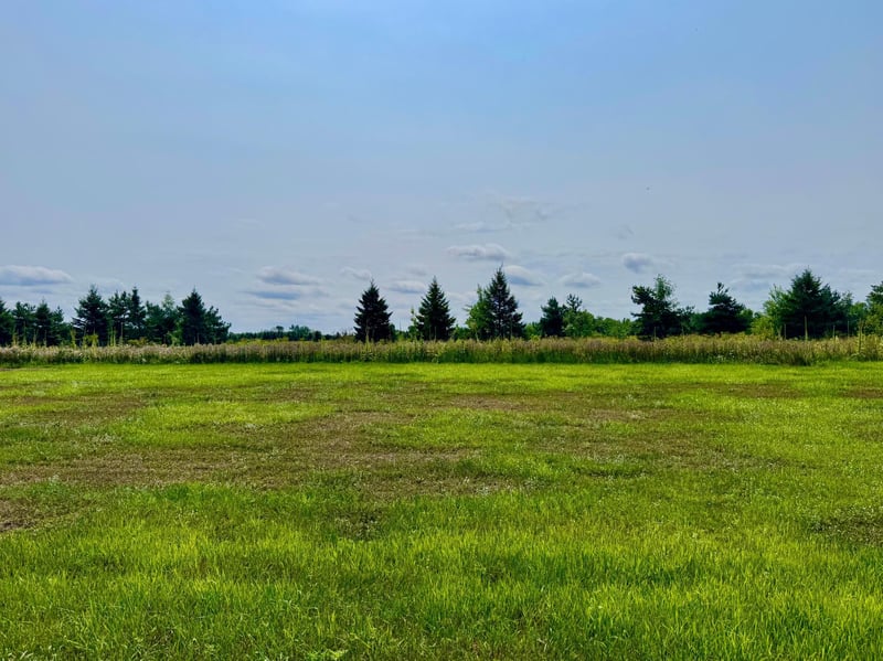 10933 Grand Lake Rd, Cold Spring, MN 56320