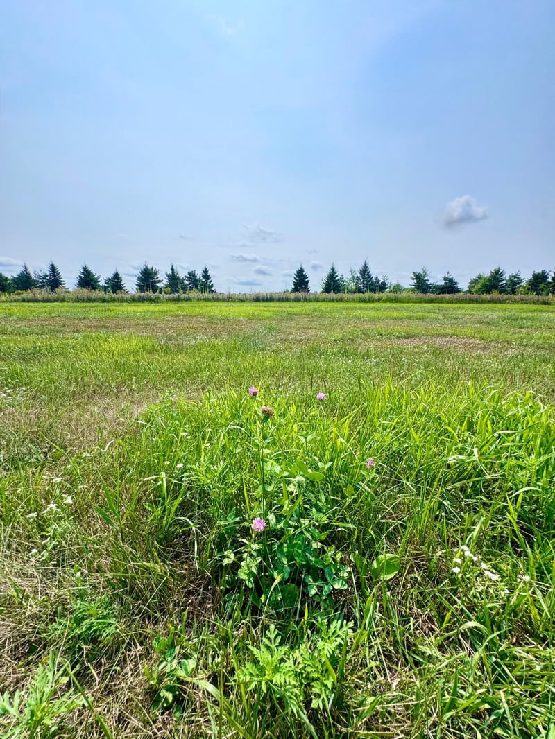 10933 Grand Lake Rd, Cold Spring, MN 56320