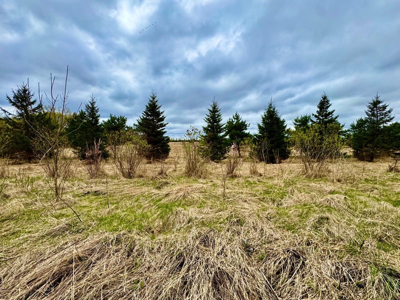 10871 Grand Lake Rd, Cold Spring, MN 56320