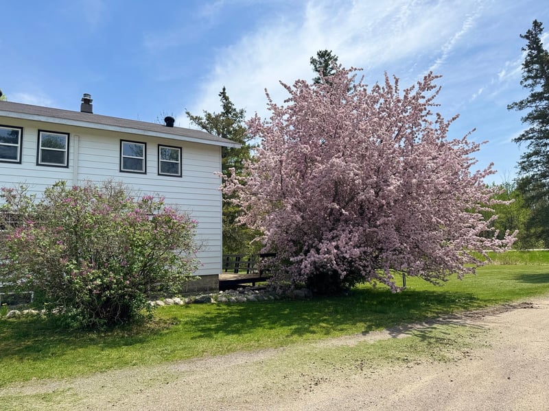 43542 County Road 19, Deer River, MN 56636