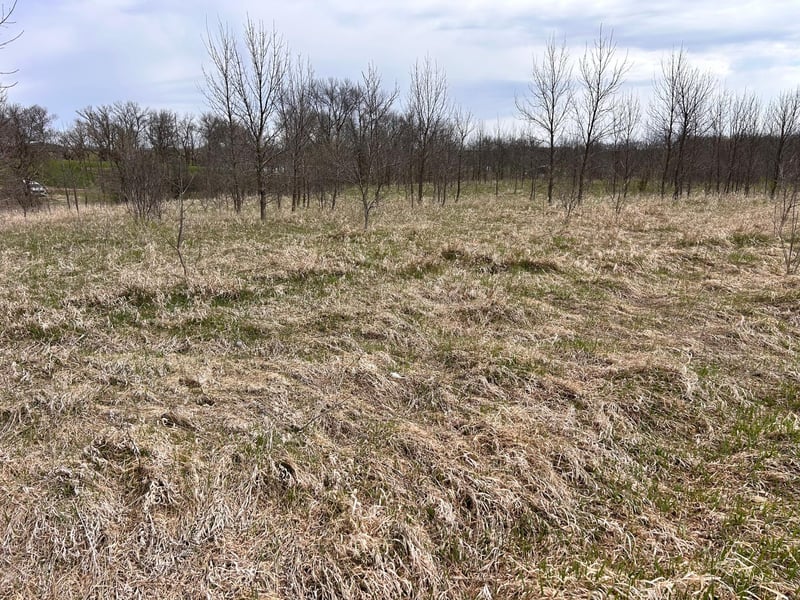 Lot 20 215th St, Barrett, MN 56311