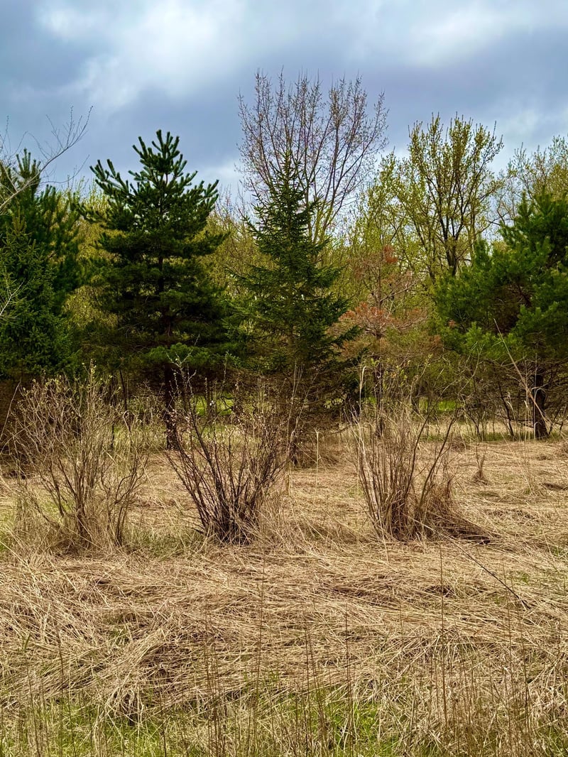 10817 Grand Lake Rd, Cold Spring, MN 56320