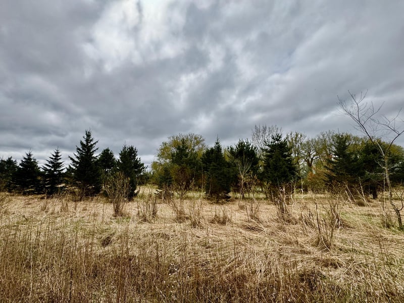 10817 Grand Lake Rd, Cold Spring, MN 56320