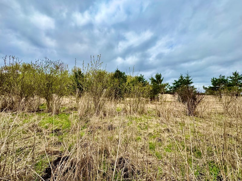 10833 Grand Lake Rd, Cold Spring, MN 56320