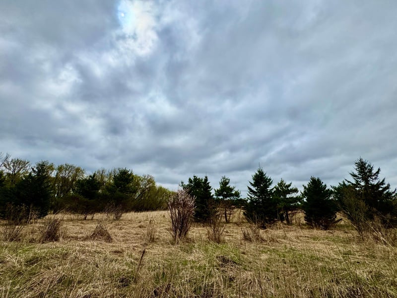 10849 Grand Lake Rd, Cold Spring, MN 56320