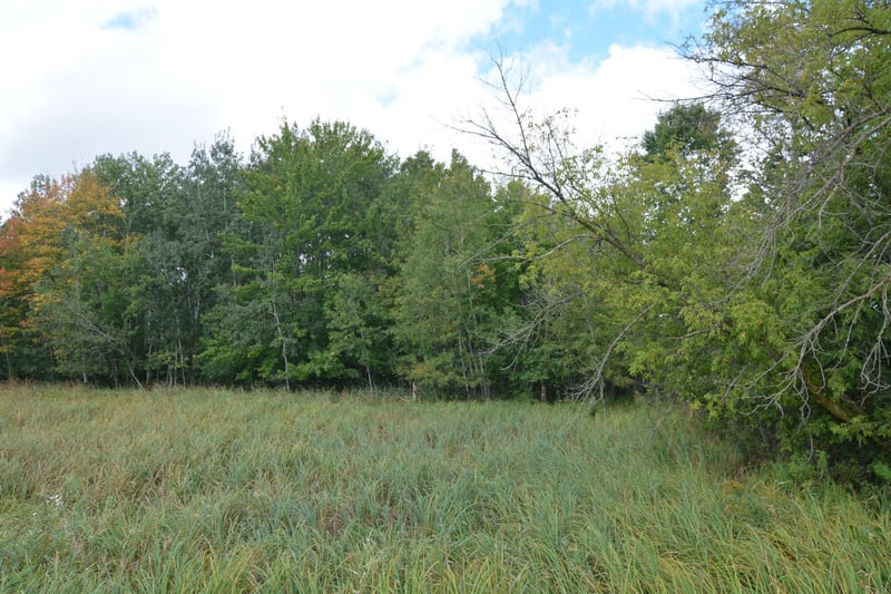 TBD 130th Ave, Milaca, MN 56353
