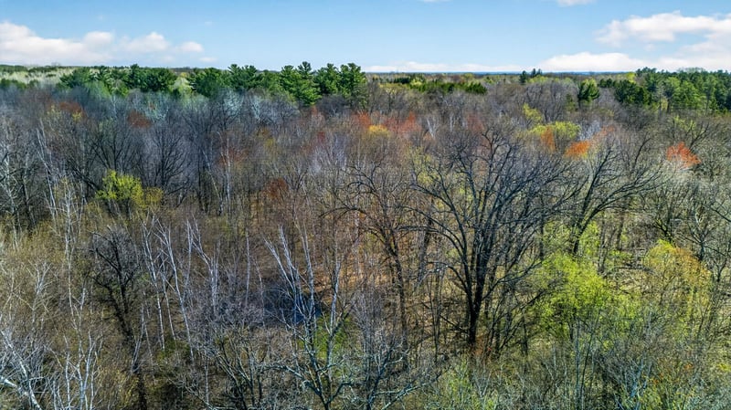 Parcel 3 Grand Ave, Harris, MN 55032